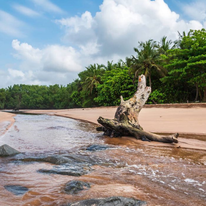 A lagoon flowing out by the sea with tree logs lying after the beach in Axim Ghana West Africa